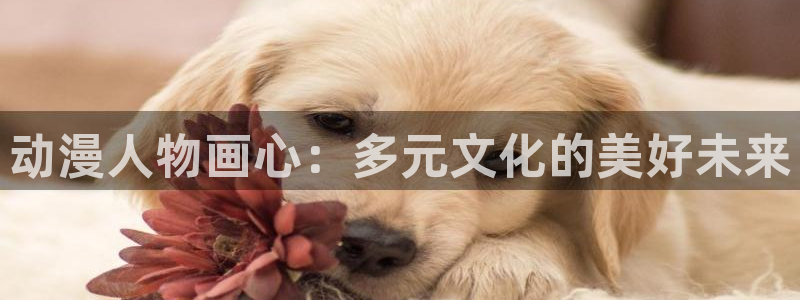 动漫天堂在线