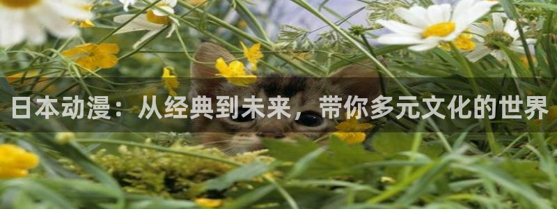 同人动漫天堂