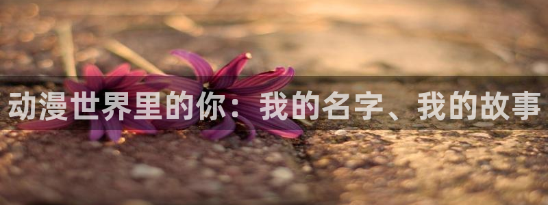 动漫天堂电影
