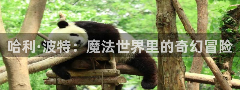 动漫天堂在线免费观看