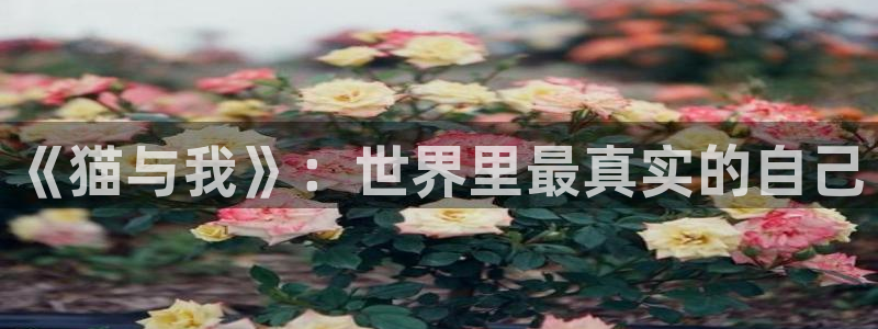 动漫天堂3d