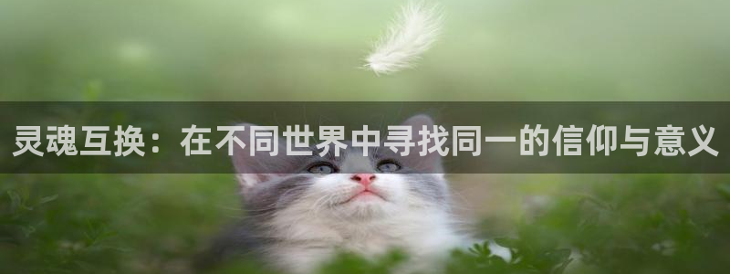 亚洲动漫天堂在线