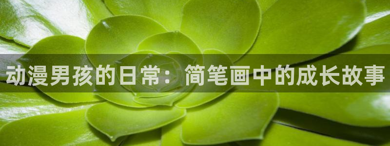 动漫天堂之吻