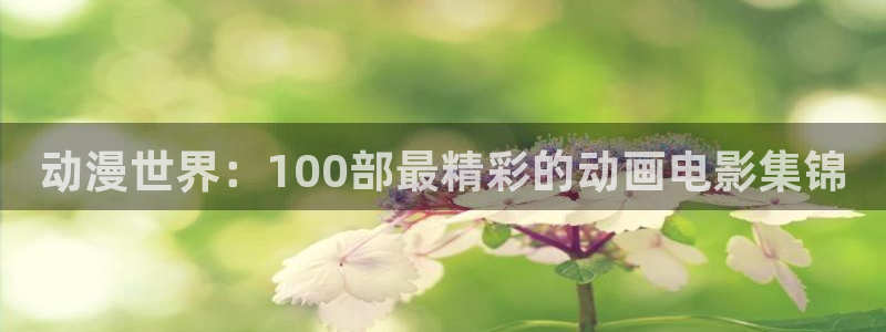 动漫天堂总站
