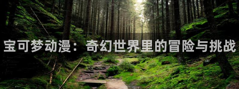 91动漫天堂