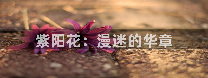 男人动漫天堂在线
