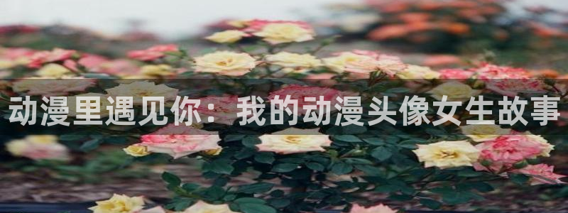 coco动漫天堂