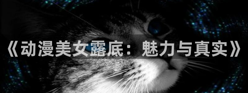 www.动漫天堂