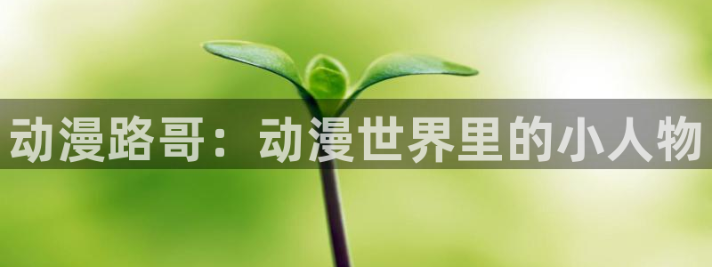 动漫天堂免费