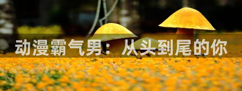 成人动漫天堂网