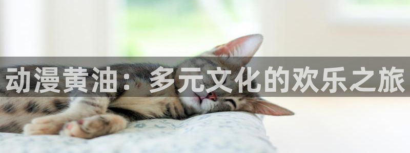 18动漫天堂