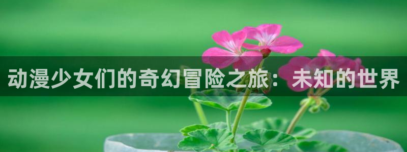 动漫天堂免费