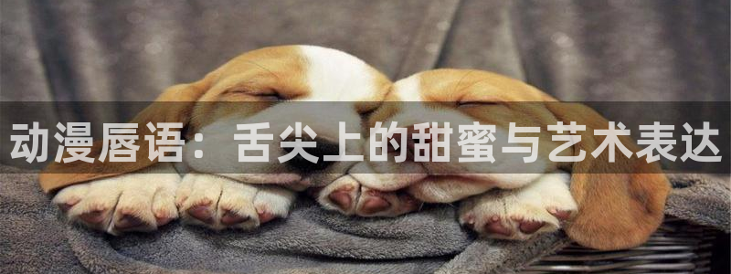 动漫天堂网