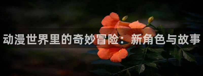 动漫天堂免费下载