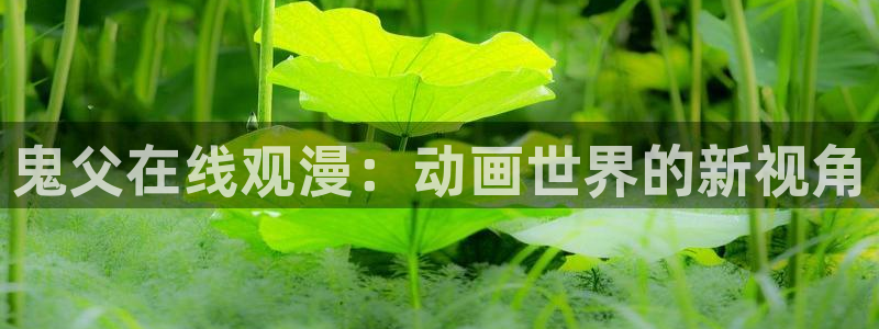 原神动漫天堂免费入口