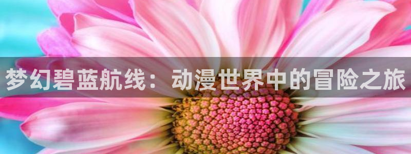 h动漫天堂：梦幻碧蓝航线：动漫世界中的冒险之旅