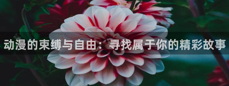 www.动漫天堂
