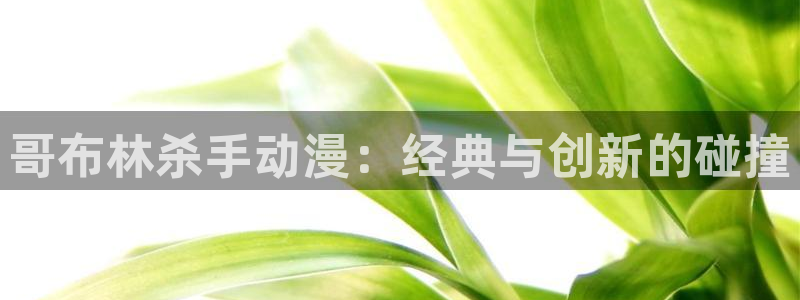 动漫天堂官网