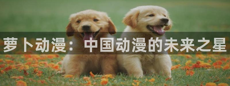 免费a漫动漫天堂.：萝卜动漫：中国动漫的未来之星