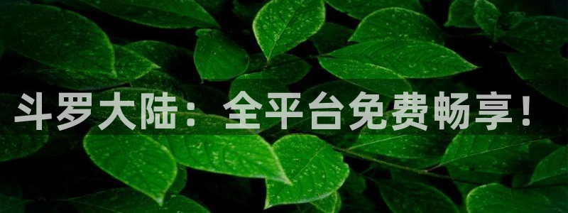 成人动漫天堂网