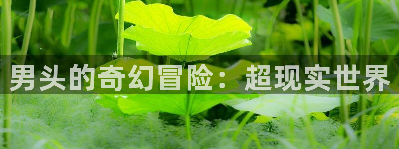 同人动漫天堂