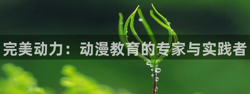 成人动漫天堂网