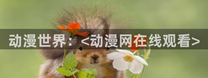 动漫天堂在线观看