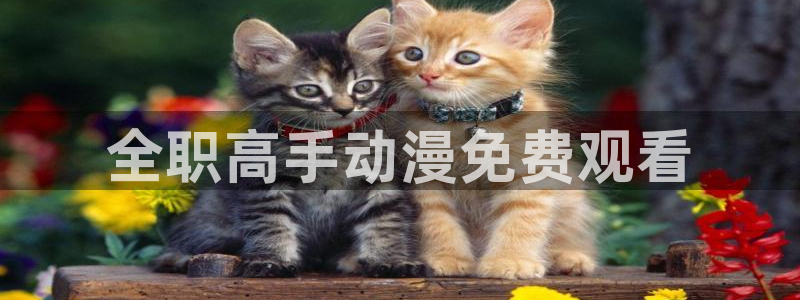 动漫天堂免费在线观看：全职高手动漫免费观看