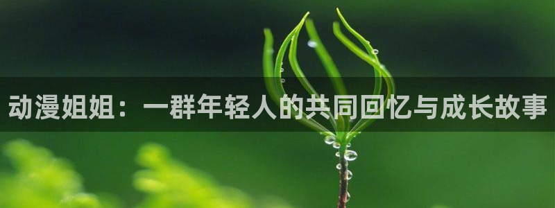 动漫天堂下载安装最新版：动漫姐姐：一群年轻人的共同回忆与成长故事