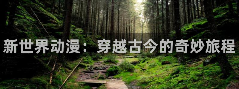 动漫天堂在线免费观看：新世界动漫：穿越古今的奇妙旅程