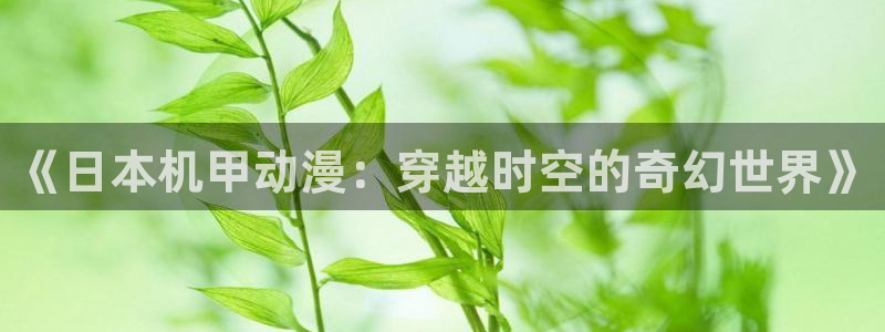 动漫天堂3d：《日本机甲动漫：穿越时空的奇幻世界》