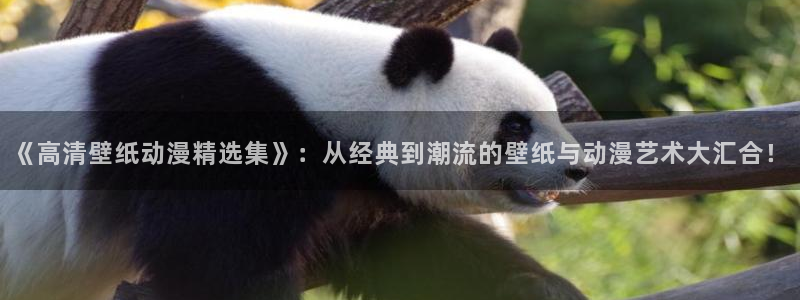 成人动漫天堂av