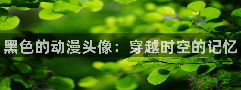 动漫天堂官方正版下载