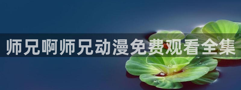 秋叶原动漫天堂