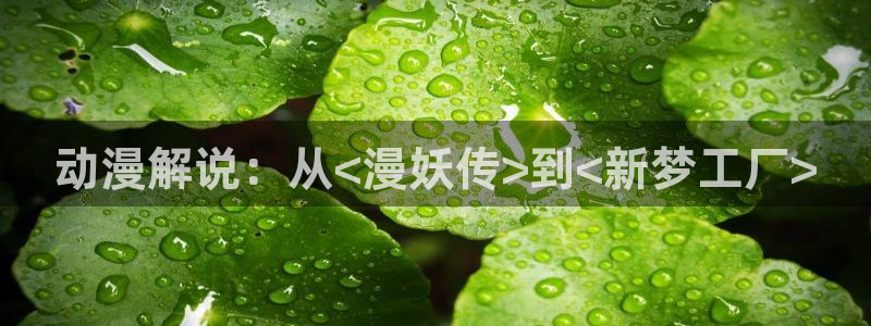 动漫天堂下载安装最新版
