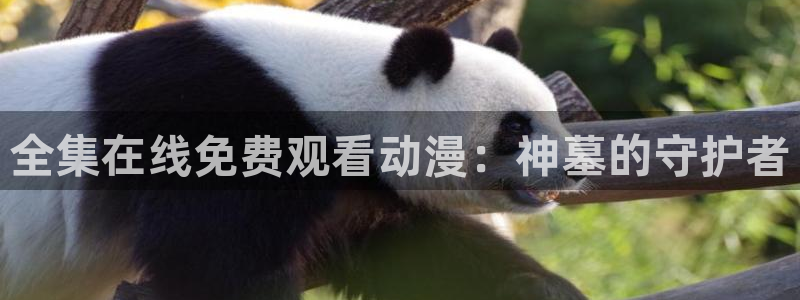 下载动漫天堂