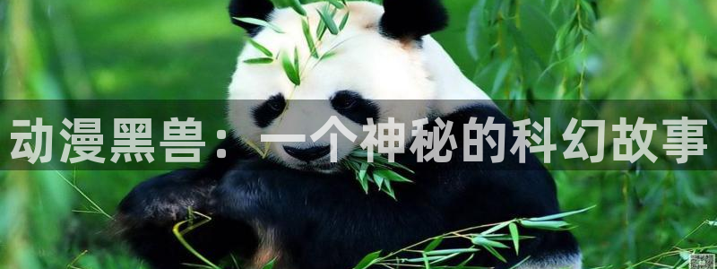 动漫天堂之吻