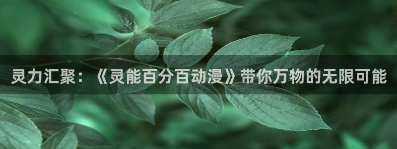 樱花动漫天堂