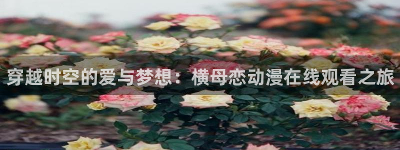动漫天堂在线看
