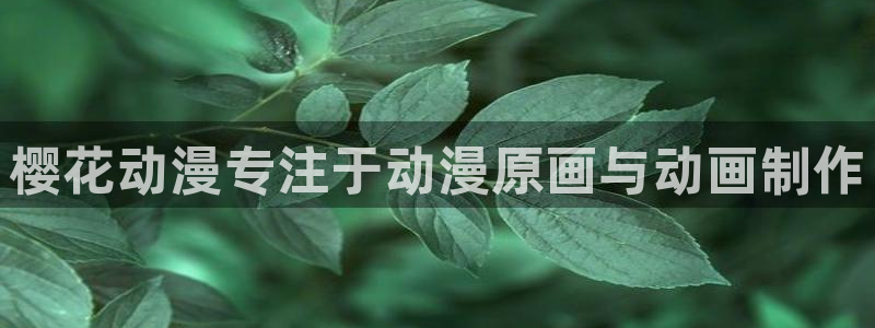 动漫天堂cc