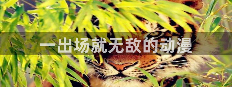 3d动漫天堂网