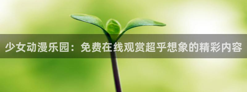 动漫天堂从哪下载安装