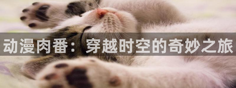 成人动漫天堂网