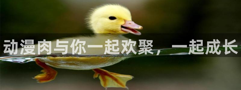 动漫天堂网址：动漫肉与你一起欢聚，一起成长