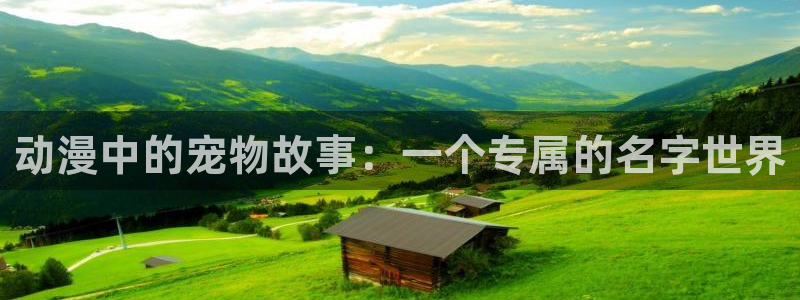 动漫天堂电影：动漫中的宠物故事：一个专属的名字世界