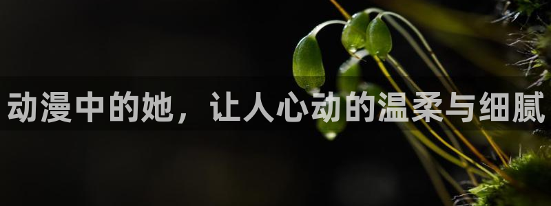 acg动漫天堂