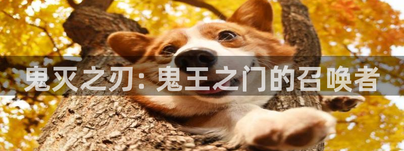 禁漫动漫天堂