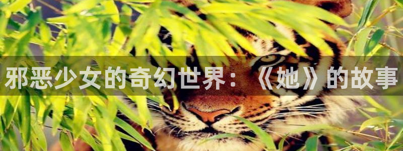 动漫天堂cc：邪恶少女的奇幻世界：《她》的故事